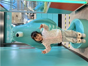 IMG_3669.jpeg